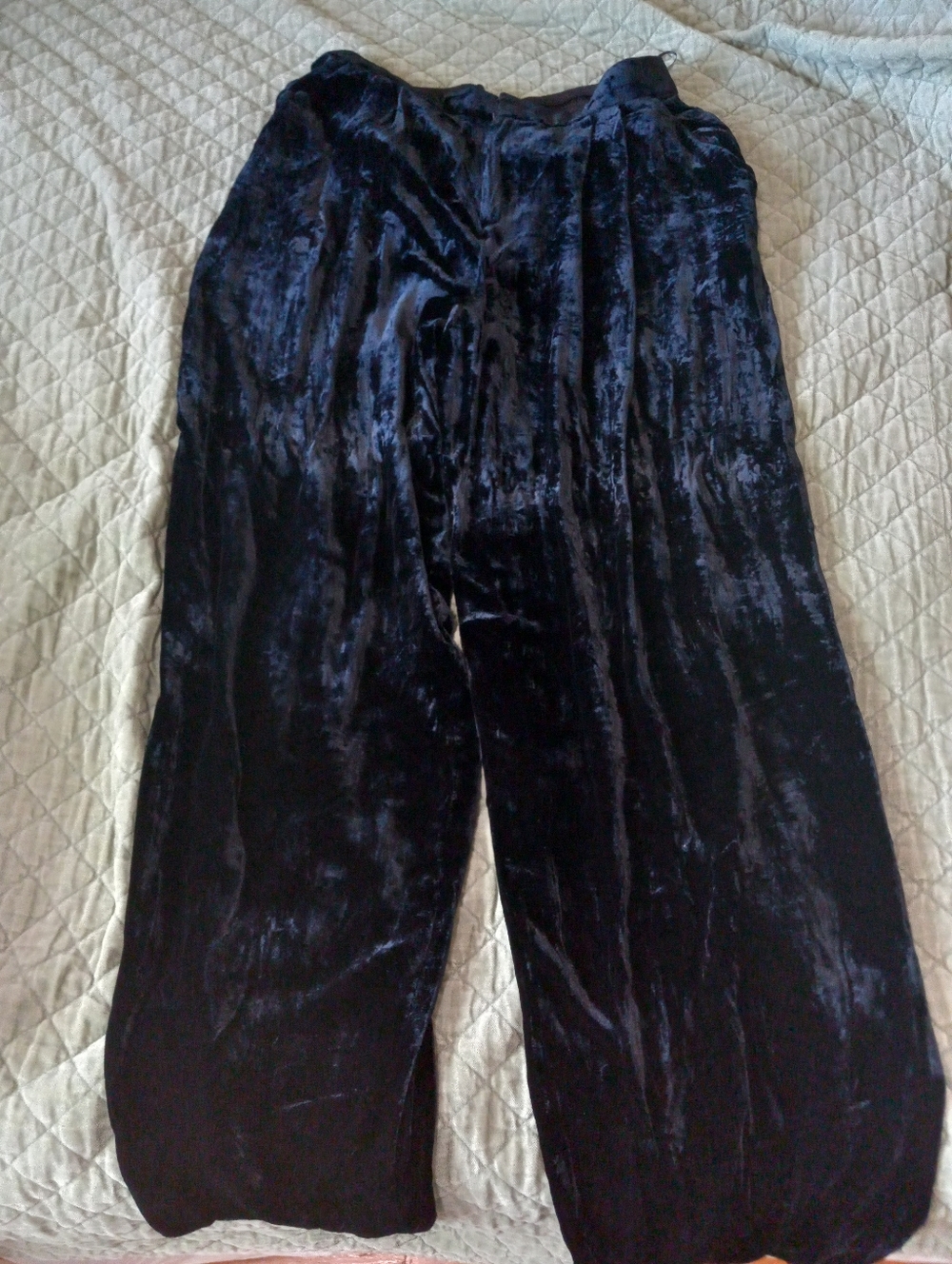 Banana Republic Blue Pleated Velvet Pants 10L